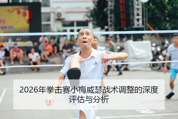 2026年拳击赛小梅威瑟战术调整的深度评估与分析（xingkong WorldCup）