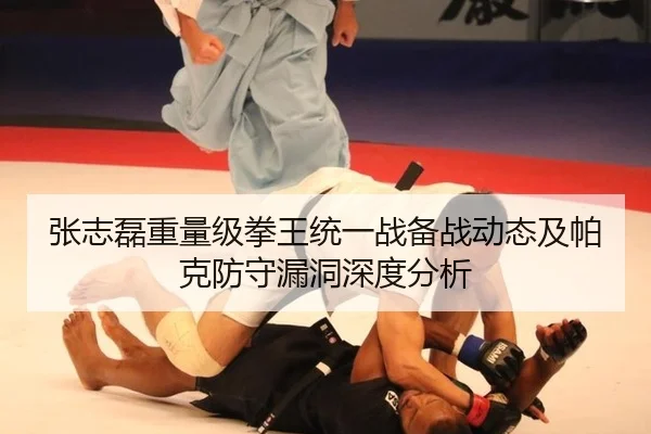 zhang-zhi-lei-zhong-liang-ji-quan-wang-tong-yi-zhan-bei-zhan-dong-tai-ji-pa-ke-fang-shou-lou-dong-shen-du-fen-xi-3-281.jpg