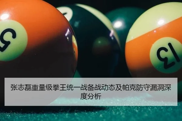 张志磊重量级拳王统一战备战动态及帕克防守漏洞深度分析